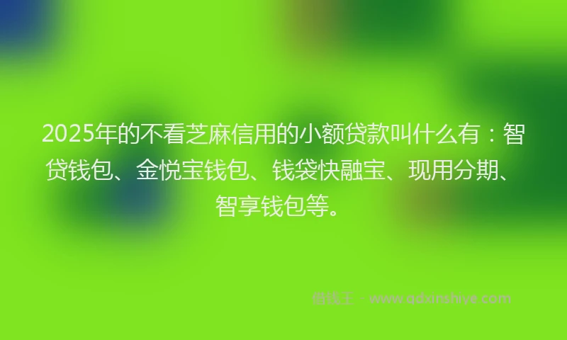 2025年的不看芝麻信用的小额贷款叫什么有：智贷钱包、金悦宝钱包、钱袋快融宝、现用分期、智享钱包等。