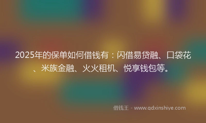 2025年的保单如何借钱有：闪借易贷融、口袋花、米族金融、火火租机、悦享钱包等。