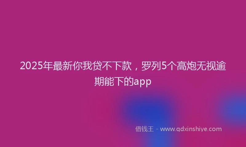 2025年最新你我贷不下款，罗列5个高炮无视逾期能下的app