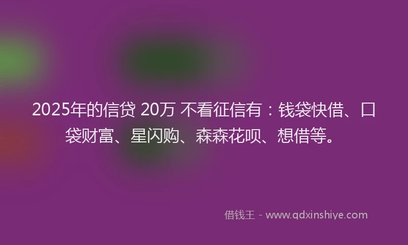 2025年的信贷 20万 不看征信有：钱袋快借、口袋财富、星闪购、森森花呗、想借等。