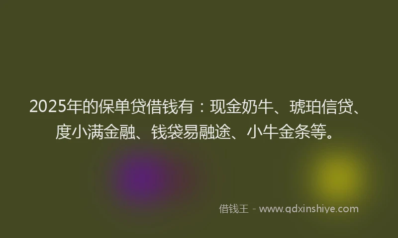 2025年的保单贷借钱有：现金奶牛、琥珀信贷、度小满金融、钱袋易融途、小牛金条等。