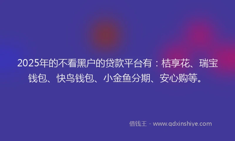2025年的不看黑户的贷款平台有：桔享花、瑞宝钱包、快鸟钱包、小金鱼分期、安心购等。