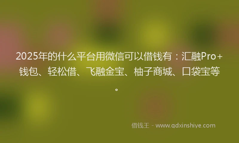 2025年的什么平台用微信可以借钱有：汇融Pro+钱包、轻松借、飞融金宝、柚子商城、口袋宝等。
