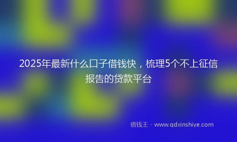 2025年最新什么口子借钱快，梳理5个不上征信报告的贷款平台