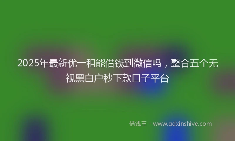 2025年最新优一租能借钱到微信吗，整合五个无视黑白户秒下款口子平台