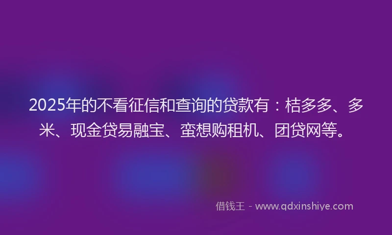 2025年的不看征信和查询的贷款有：桔多多、多米、现金贷易融宝、蛮想购租机、团贷网等。