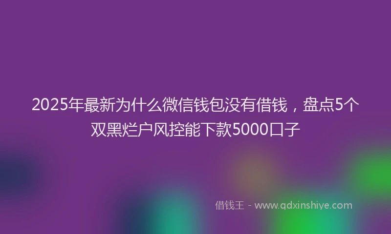 2025年最新为什么微信钱包没有借钱，盘点5个双黑烂户风控能下款5000口子