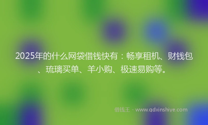 2025年的什么网袋借钱快有：畅享租机、财钱包、琉璃买单、羊小购、极速易购等。