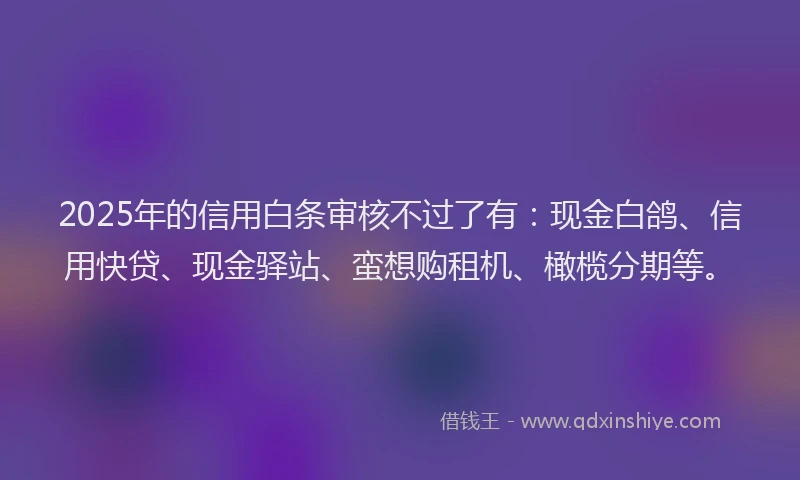 2025年的信用白条审核不过了有：现金白鸽、信用快贷、现金驿站、蛮想购租机、橄榄分期等。