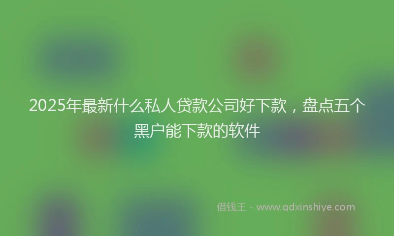 2025年最新什么私人贷款公司好下款，盘点五个黑户能下款的软件