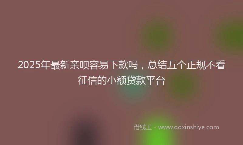 2025年最新亲呗容易下款吗，总结五个正规不看征信的小额贷款平台