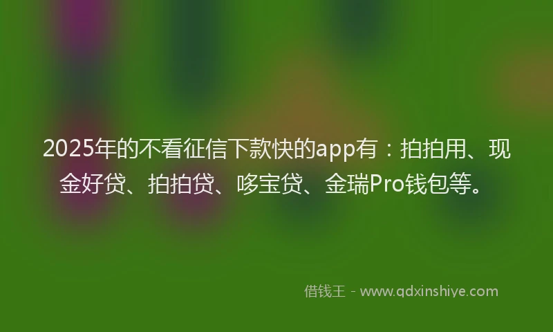 2025年的不看征信下款快的app有：拍拍用、现金好贷、拍拍贷、哆宝贷、金瑞Pro钱包等。