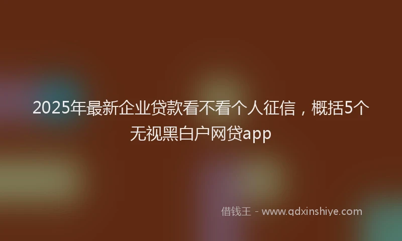 2025年最新企业贷款看不看个人征信，概括5个无视黑白户网贷app