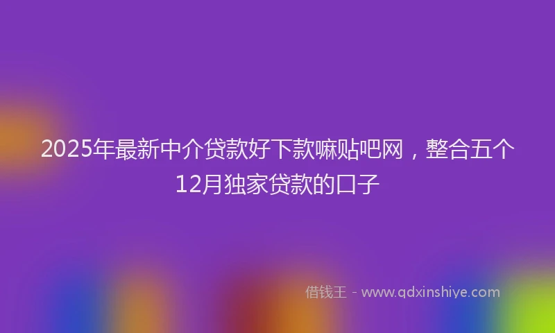 2025年最新中介贷款好下款嘛贴吧网，整合五个12月独家贷款的口子
