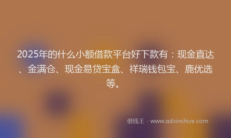 2025年的什么小额借款平台好下款有：现金直达、金满仓、现金易贷宝盒、祥瑞钱包宝、鹿优选等。