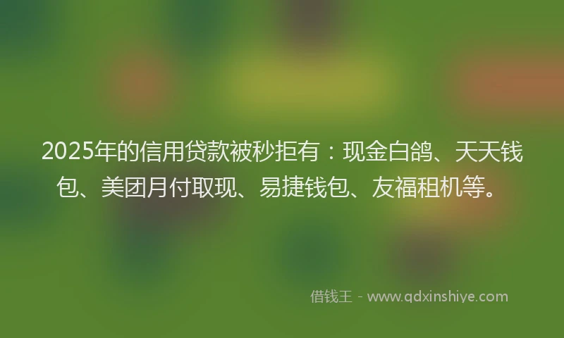 2025年的信用贷款被秒拒有：现金白鸽、天天钱包、美团月付取现、易捷钱包、友福租机等。