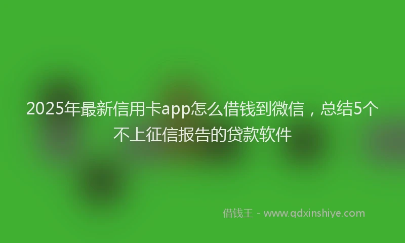 2025年最新信用卡app怎么借钱到微信，总结5个不上征信报告的贷款软件