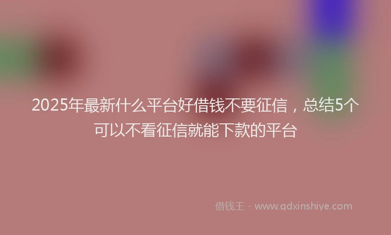 2025年最新什么平台好借钱不要征信，总结5个可以不看征信就能下款的平台