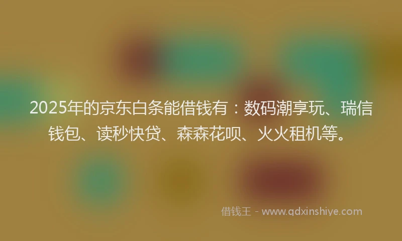 2025年的京东白条能借钱有：数码潮享玩、瑞信钱包、读秒快贷、森森花呗、火火租机等。