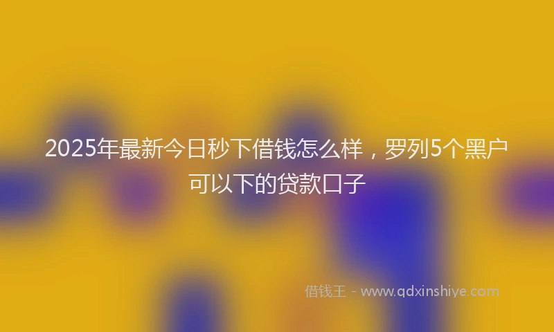 2025年最新今日秒下借钱怎么样，罗列5个黑户可以下的贷款口子
