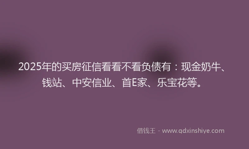 2025年的买房征信看看不看负债有：现金奶牛、钱站、中安信业、首E家、乐宝花等。