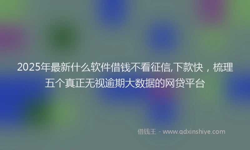 2025年最新什么软件借钱不看征信,下款快，梳理五个真正无视逾期大数据的网贷平台