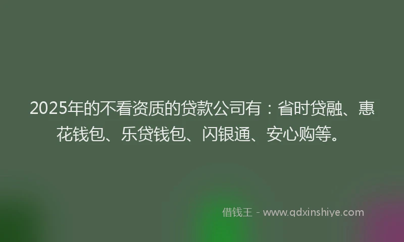 2025年的不看资质的贷款公司有：省时贷融、惠花钱包、乐贷钱包、闪银通、安心购等。