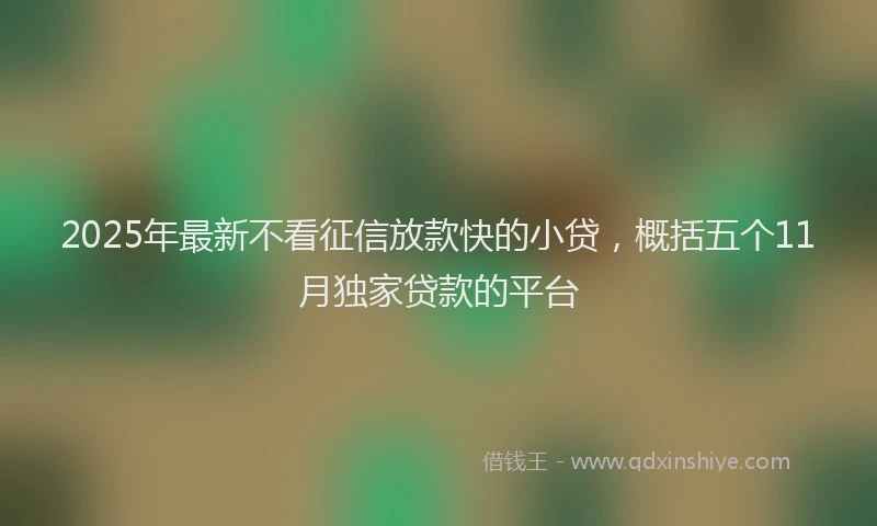 2025年最新不看征信放款快的小贷，概括五个11月独家贷款的平台