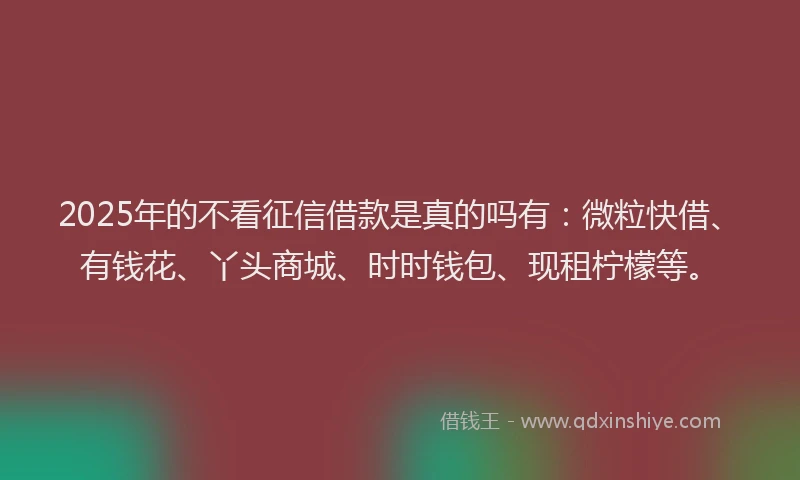 2025年的不看征信借款是真的吗有：微粒快借、有钱花、丫头商城、时时钱包、现租柠檬等。