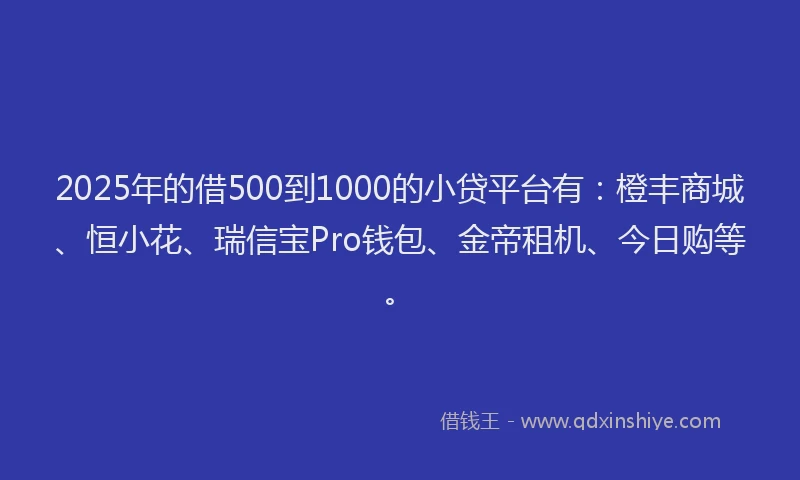 2025年的借500到1000的小贷平台有：橙丰商城、恒小花、瑞信宝Pro钱包、金帝租机、今日购等。