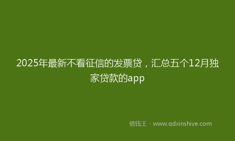 2025年最新不看征信的发票贷，汇总五个12月独家贷款的app