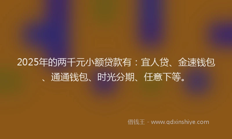 2025年的两千元小额贷款有：宜人贷、金速钱包、通通钱包、时光分期、任意下等。