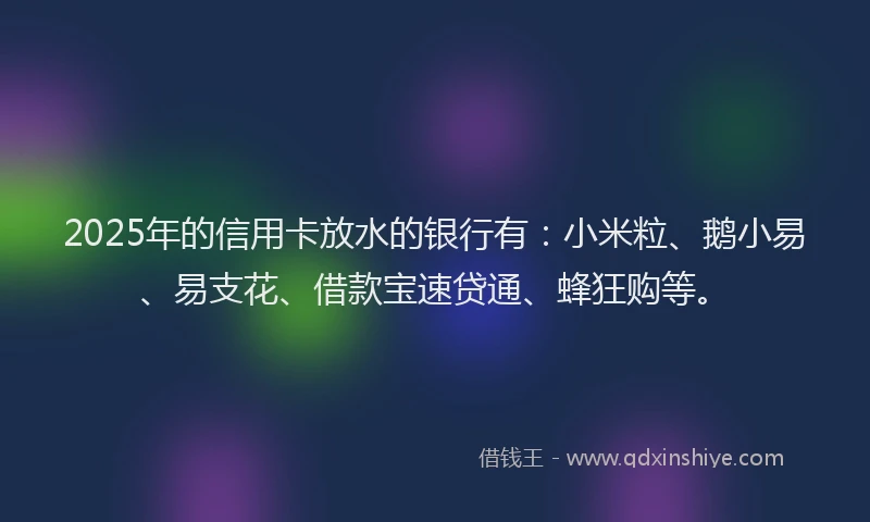 2025年的信用卡放水的银行有：小米粒、鹅小易、易支花、借款宝速贷通、蜂狂购等。