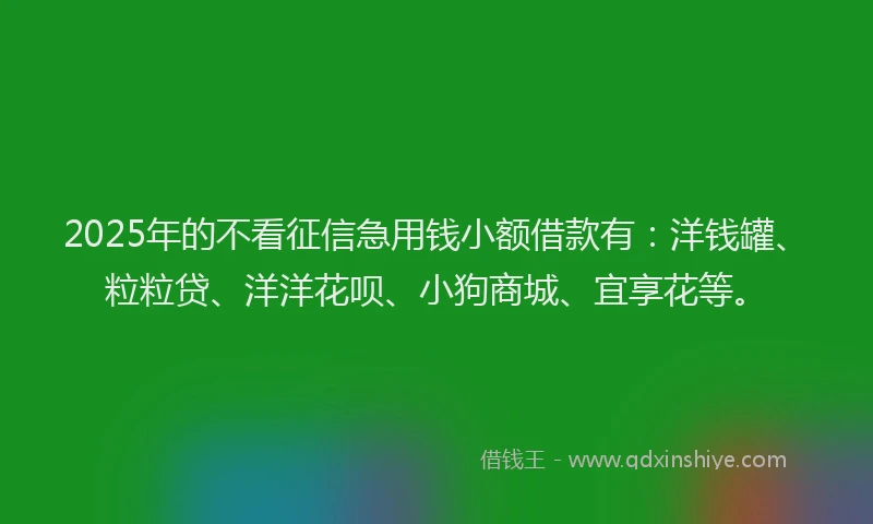 2025年的不看征信急用钱小额借款有：洋钱罐、粒粒贷、洋洋花呗、小狗商城、宜享花等。