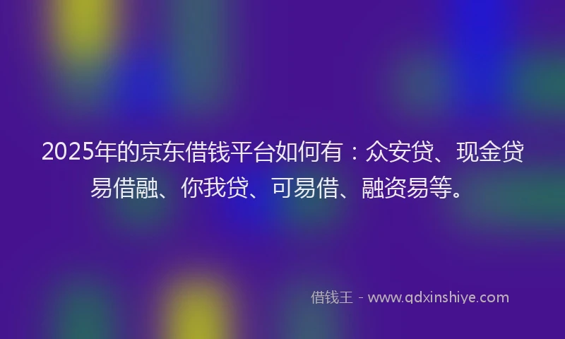 2025年的京东借钱平台如何有：众安贷、现金贷易借融、你我贷、可易借、融资易等。