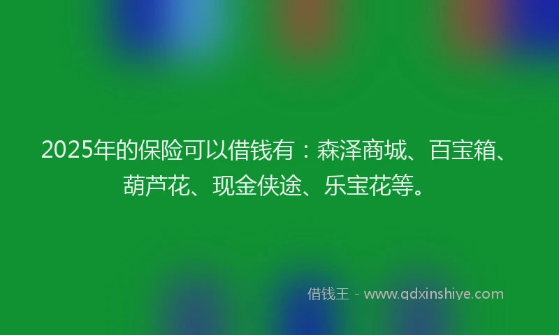 2025年的保险可以借钱有：森泽商城、百宝箱、葫芦花、现金侠途、乐宝花等。