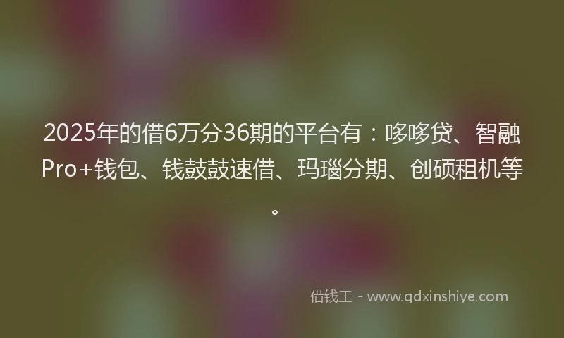 2025年的借6万分36期的平台有：哆哆贷、智融Pro+钱包、钱鼓鼓速借、玛瑙分期、创硕租机等。