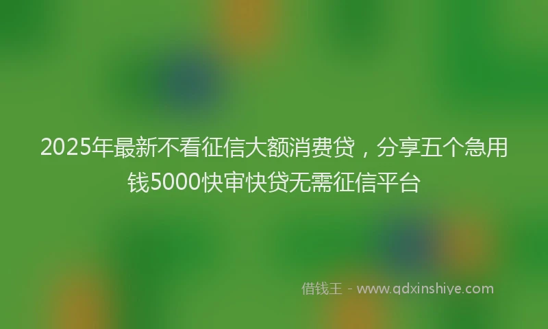 2025年最新不看征信大额消费贷，分享五个急用钱5000快审快贷无需征信平台
