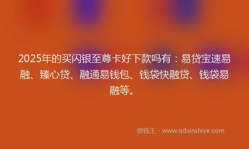 2025年的买闪银至尊卡好下款吗有：易贷宝速易融、臻心贷、融通易钱包、钱袋快融贷、钱袋易融等。