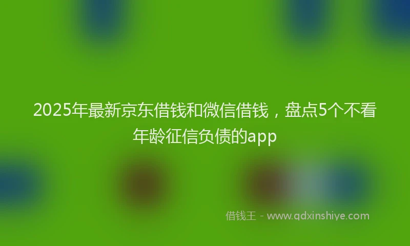 2025年最新京东借钱和微信借钱，盘点5个不看年龄征信负债的app