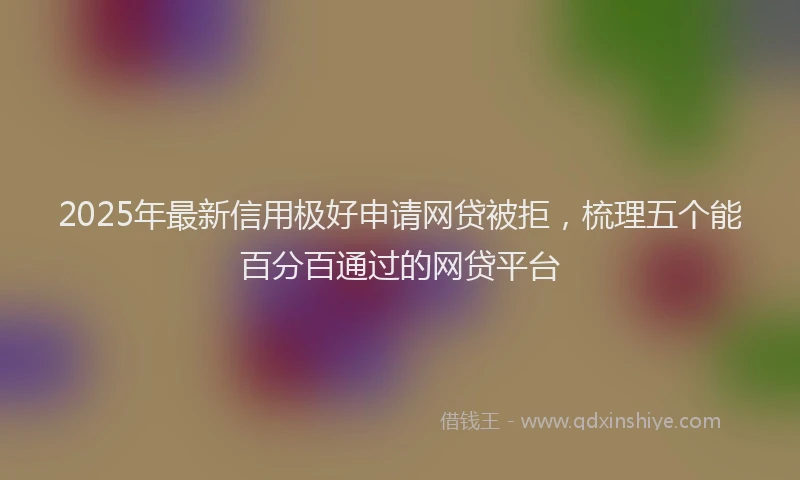 2025年最新信用极好申请网贷被拒，梳理五个能百分百通过的网贷平台
