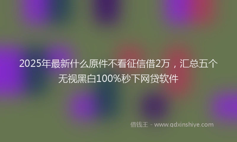 2025年最新什么原件不看征信借2万，汇总五个无视黑白100%秒下网贷软件