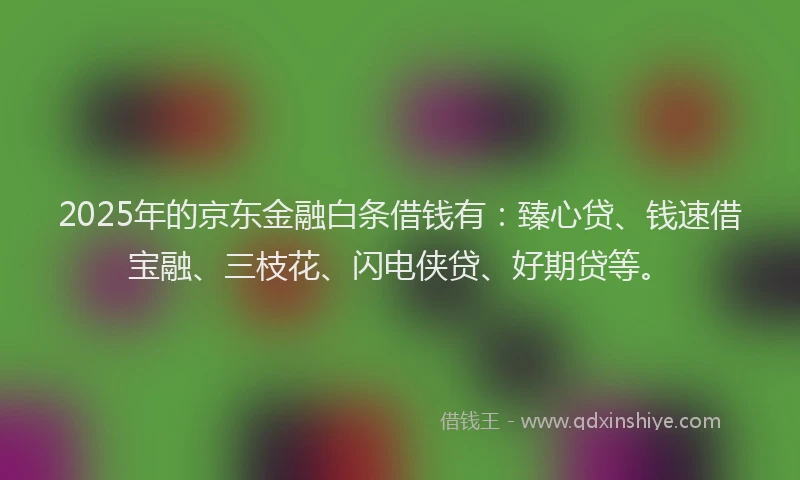 2025年的京东金融白条借钱有：臻心贷、钱速借宝融、三枝花、闪电侠贷、好期贷等。