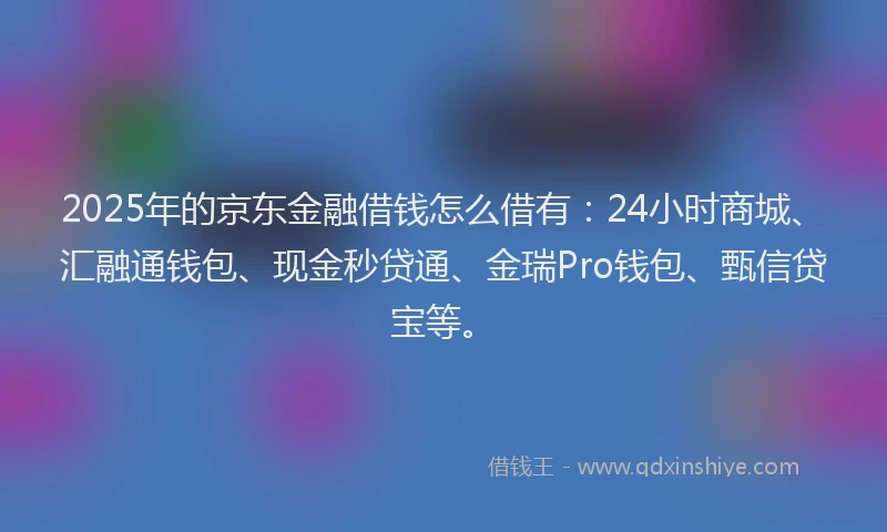 2025年的京东金融借钱怎么借有：24小时商城、汇融通钱包、现金秒贷通、金瑞Pro钱包、甄信贷宝等。