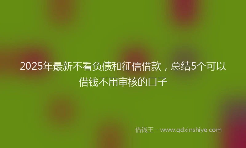 2025年最新不看负债和征信借款，总结5个可以借钱不用审核的口子