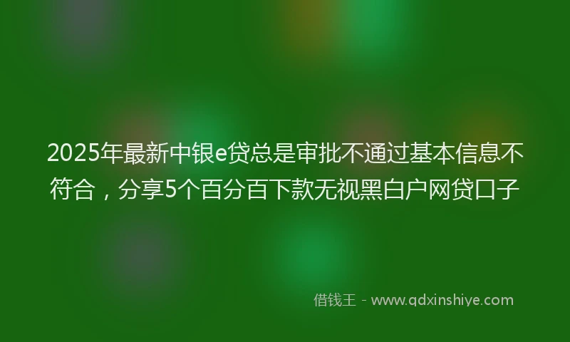 2025年最新中银e贷总是审批不通过基本信息不符合，分享5个百分百下款无视黑白户网贷口子