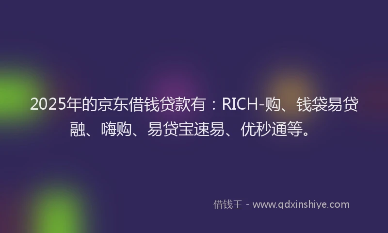 2025年的京东借钱贷款有：RICH-购、钱袋易贷融、嗨购、易贷宝速易、优秒通等。