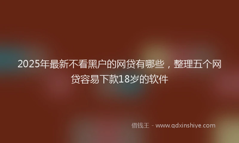 2025年最新不看黑户的网贷有哪些，整理五个网贷容易下款18岁的软件