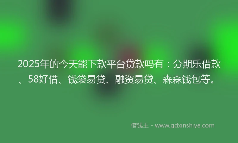 2025年的今天能下款平台贷款吗有：分期乐借款、58好借、钱袋易贷、融资易贷、森森钱包等。