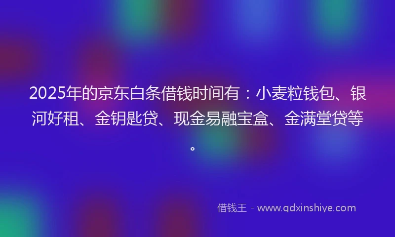 2025年的京东白条借钱时间有：小麦粒钱包、银河好租、金钥匙贷、现金易融宝盒、金满堂贷等。